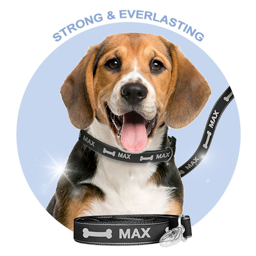 Personalised Sparkly Dog Lead with custom name and glitter effect