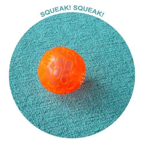 dog ball toy perfect for your enthusiastic pup