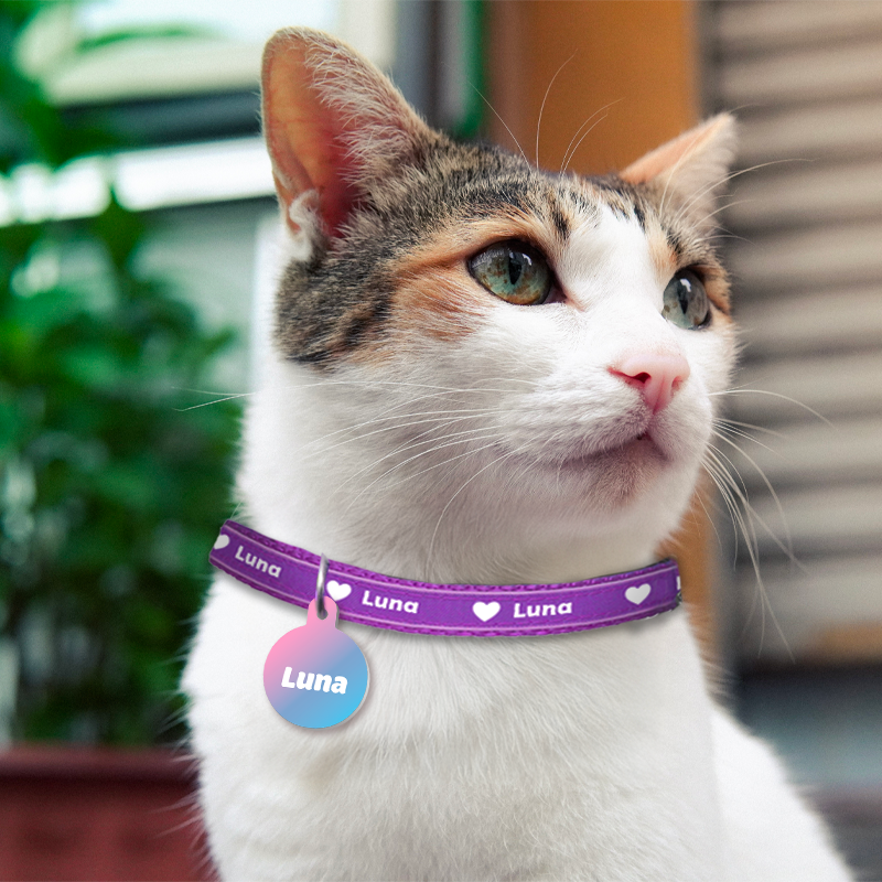 Cat Tags - Pattern - Image 3