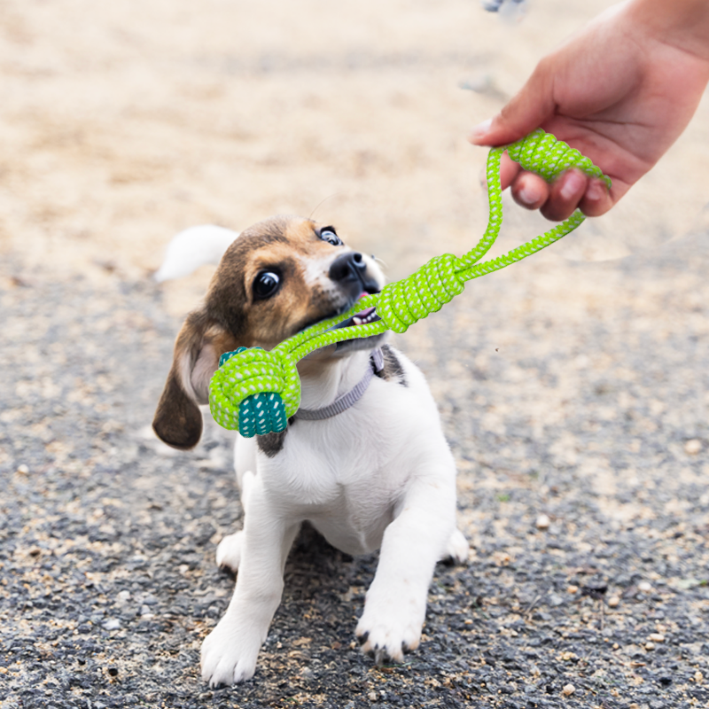 Rope TOy_mock up Personalised dog rope toy Australia