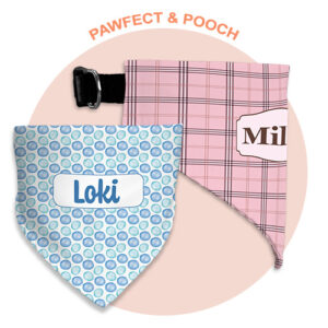 custom pet scarf