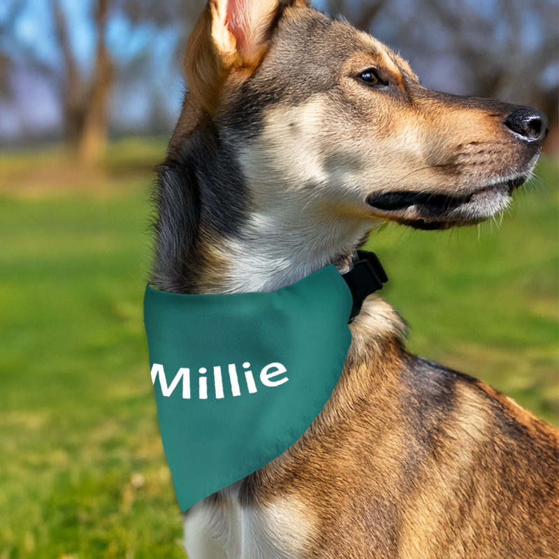 Dog Neck Scarfs - Image 2