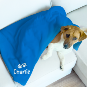 customised dog blanket & collars