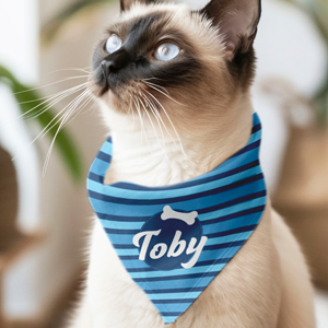Cat Bandanas Pattern