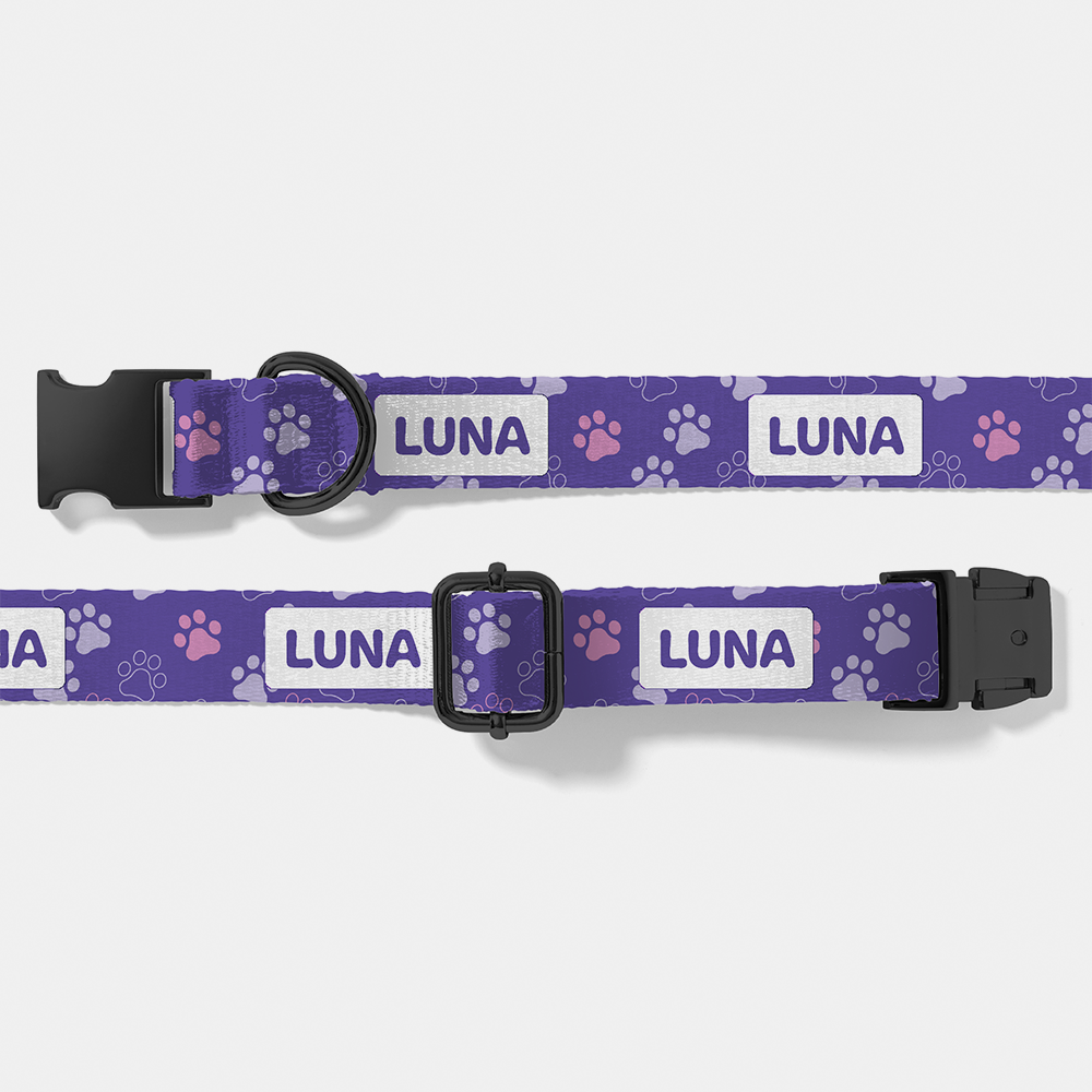 dog collars