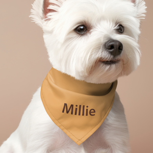 Dog Bandanas