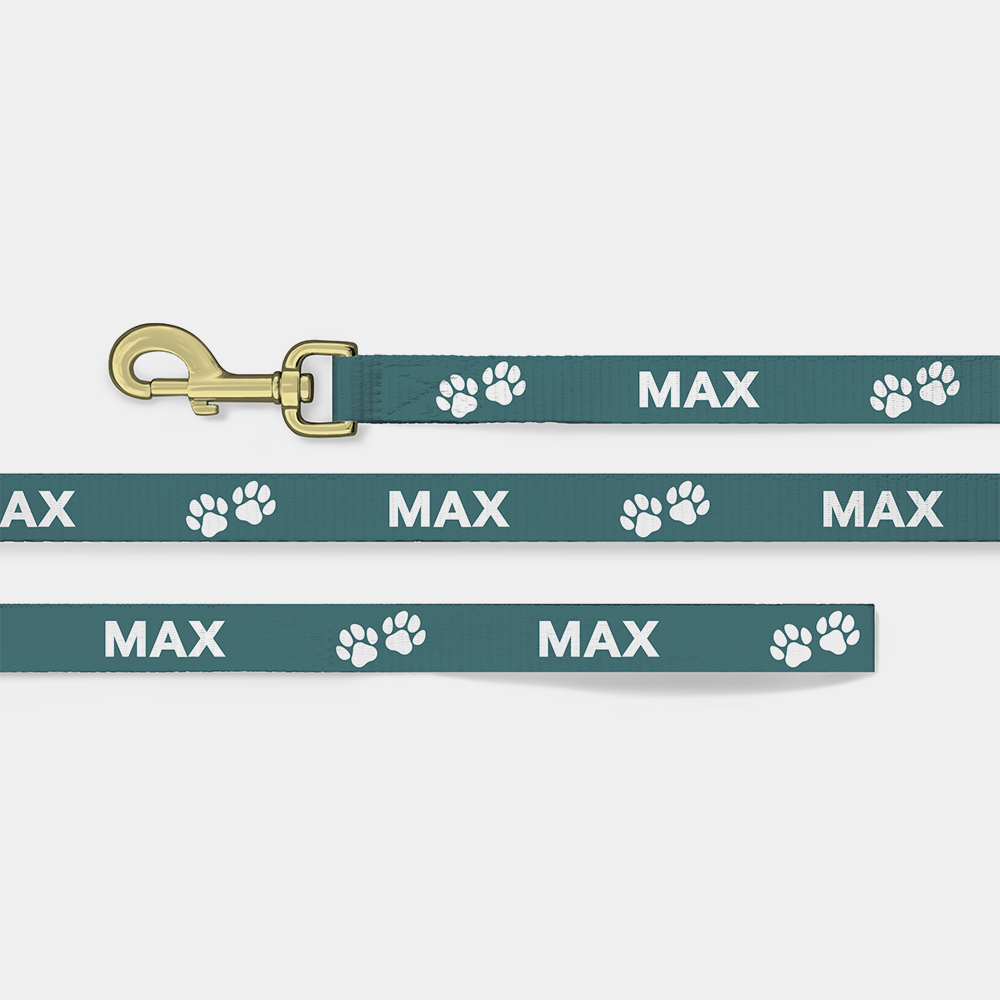 personalised dog leash