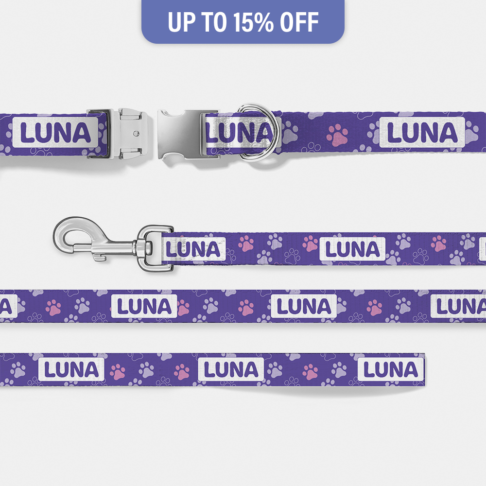 dog collar and leash set