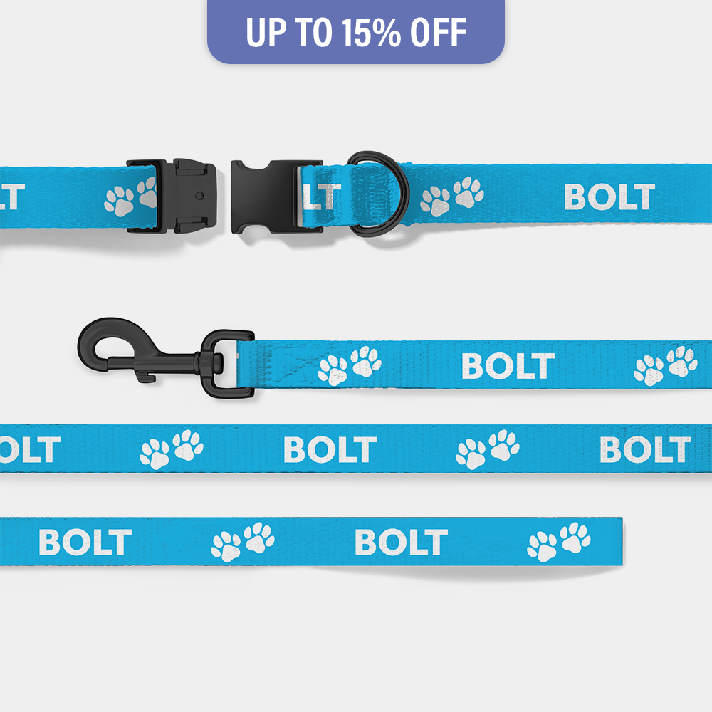 custom dog collar and lead set