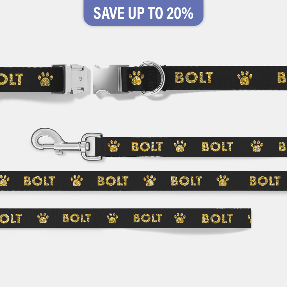 personalised dog collar and lead set embroidered with dog’s name